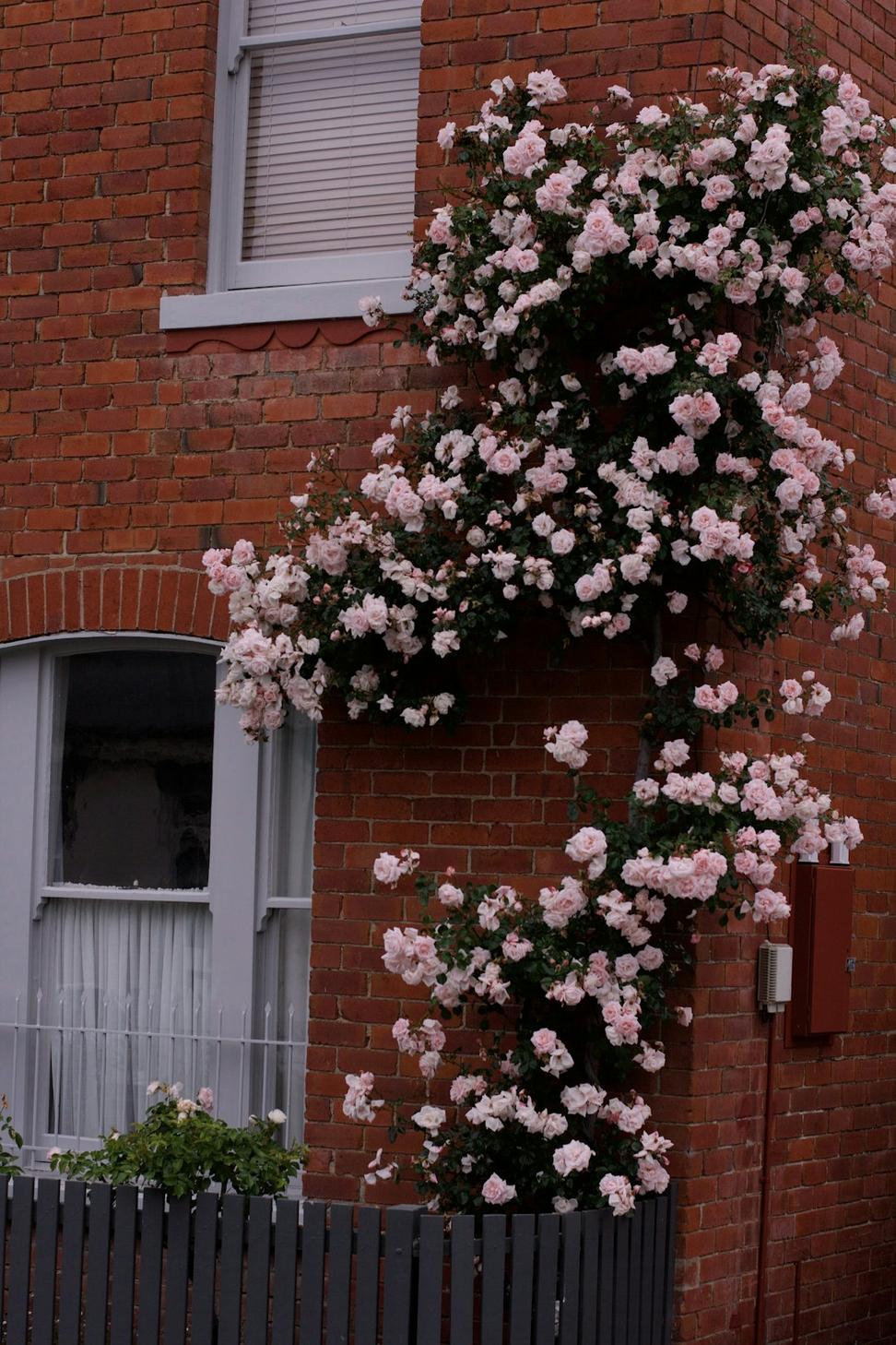 House before renovation